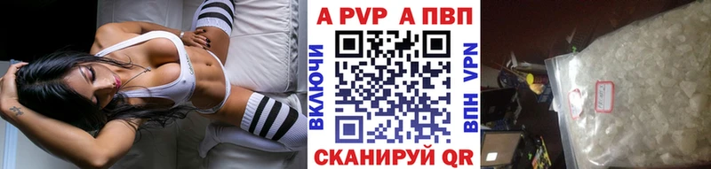 гидра ТОР  Павловская  Alfa_PVP СК 
