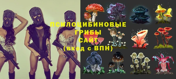 мескалин Алексин