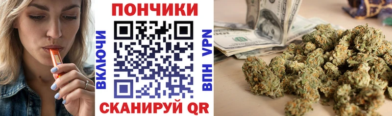 ОМГ ОМГ как зайти  Павловская  Бошки марихуана план 